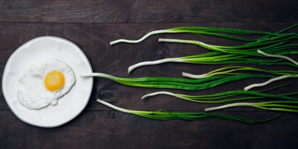 makanan penyubur kandungan