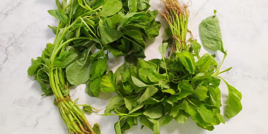 Manfaat daun bayam untuk kesehatan