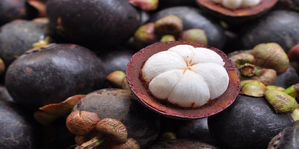 Manfaat manggis untuk ibu hamil