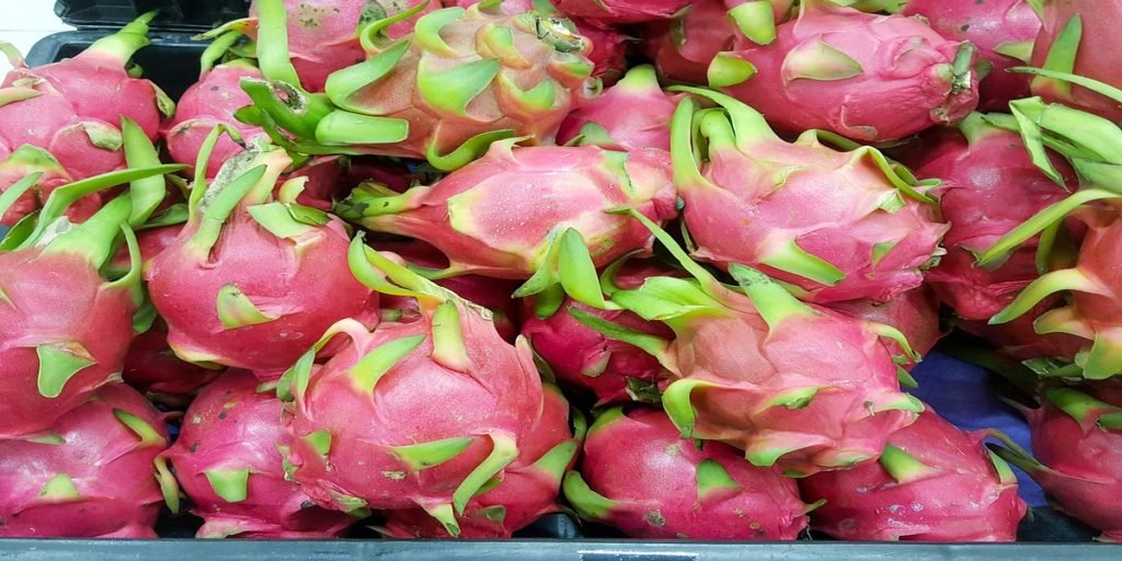 Manfaat buah naga untuk ibu hamil