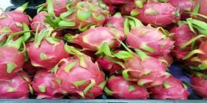 Manfaat buah naga untuk ibu hamil