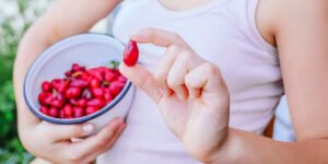 manfaat buah goji berry