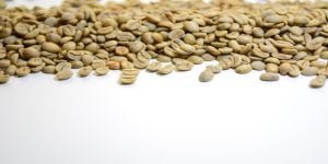 Manfaat green coffee untuk kesehatan