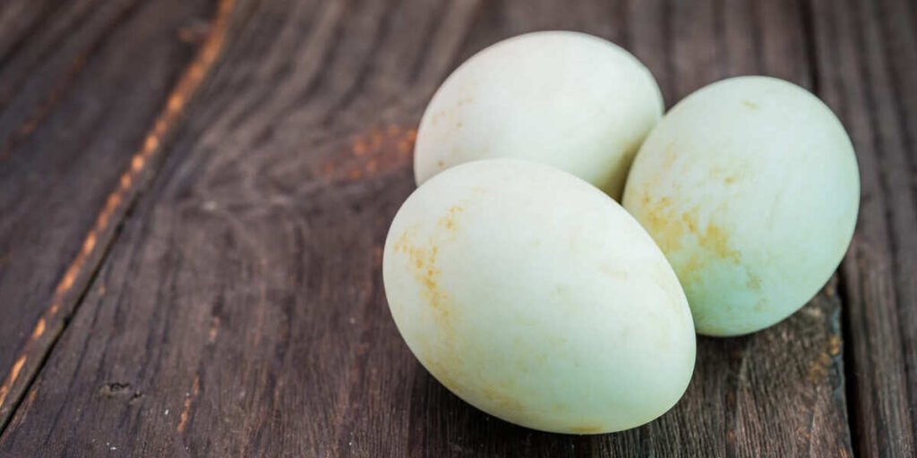 manfaat telur bebek untuk kesehatan