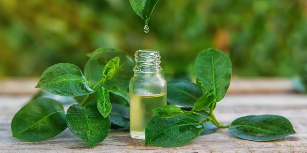 Manfaat tea tree oil, untuk menghilangkan skin tag