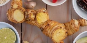 Manfaat kencur untuk kesehatan