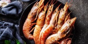 Bolehkah Ibu hamil makan udang?