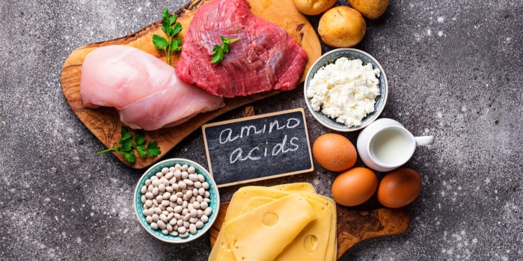 perbedaan asam amino esensial dan non esensial