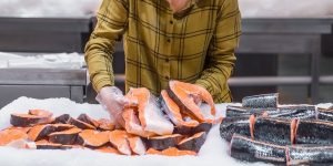 cara menyimpan ikan di kulkas