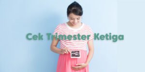 posisi bayi saat hamil 6 bulan