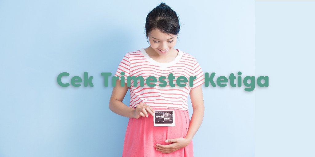 posisi bayi saat hamil 6 bulan
