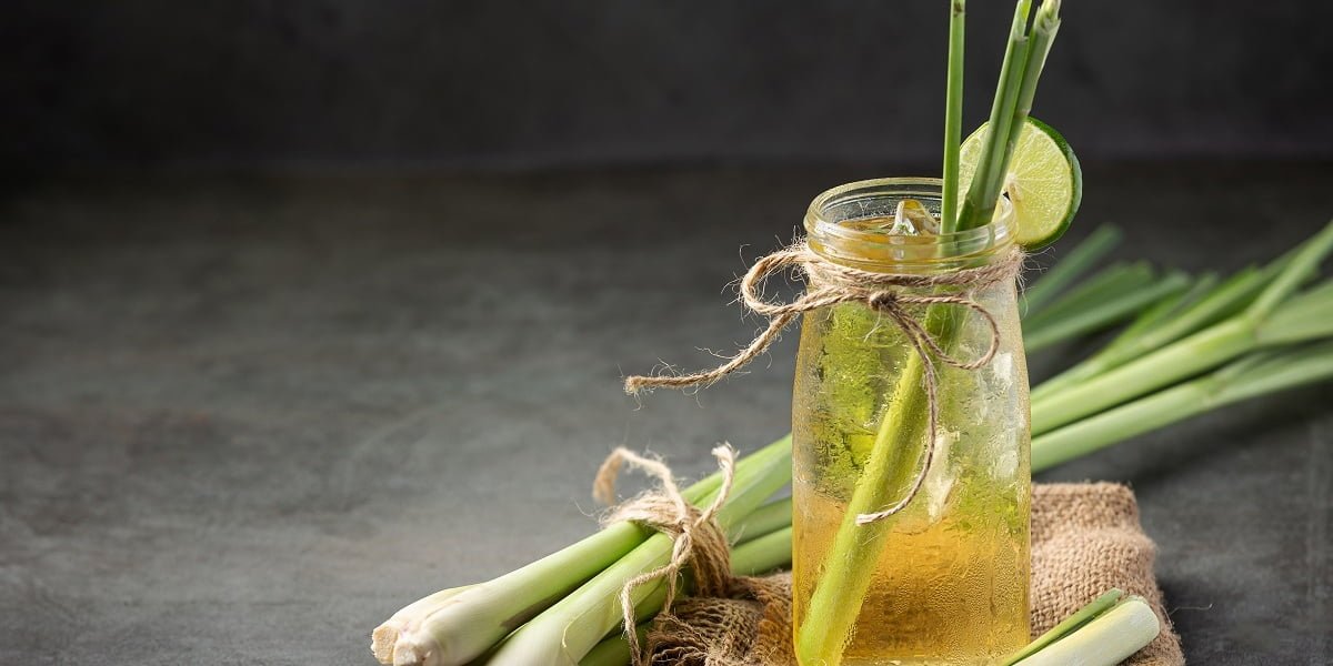 manfaat daun serai