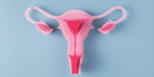 fungsi uterus adalah