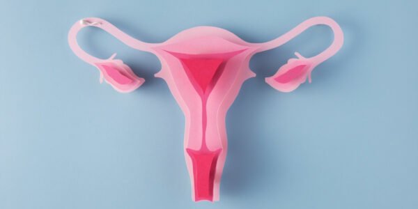 fungsi uterus adalah