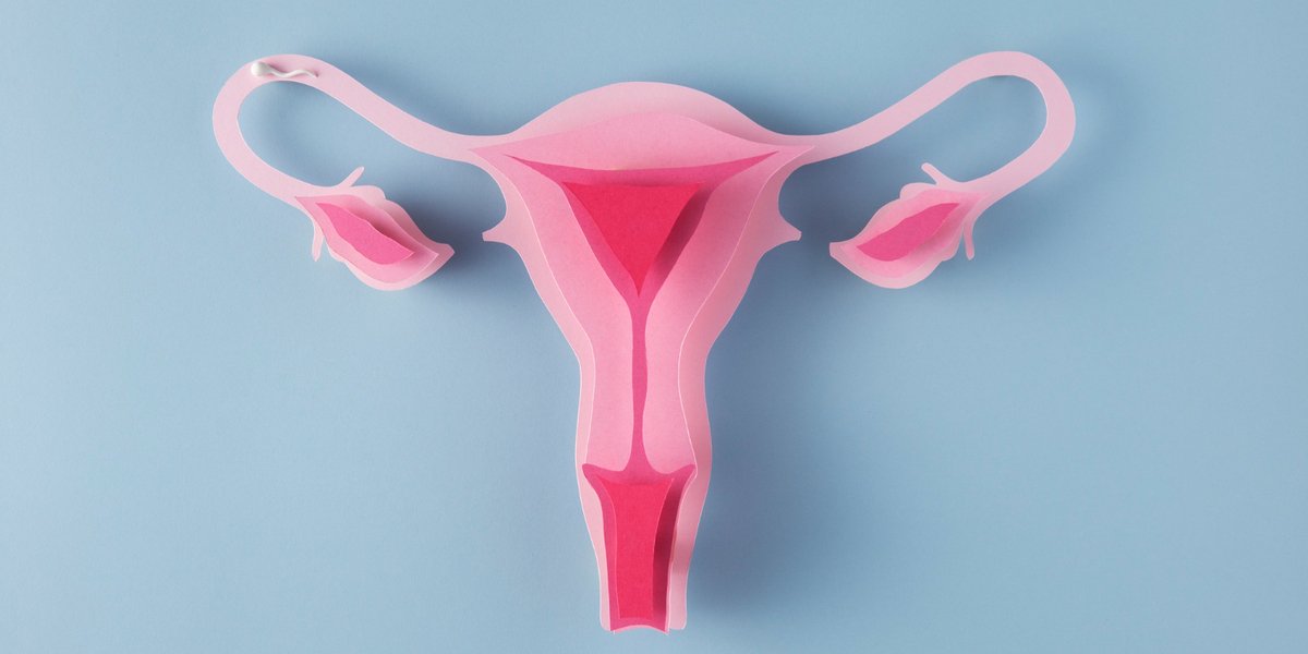 fungsi uterus adalah