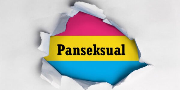 apa itu panseksual
