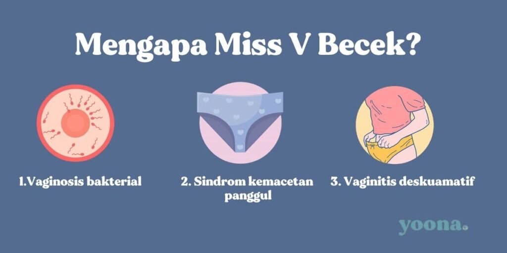 penyebab miss v becek