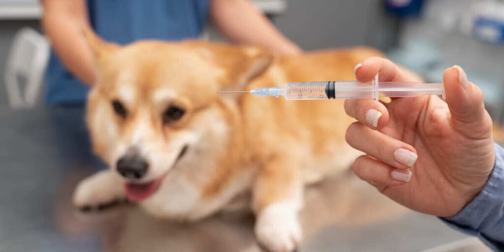 vaksin rabies
