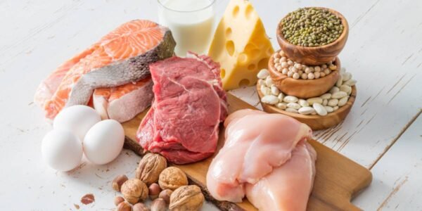 sumber makanan yang mengandung protein
