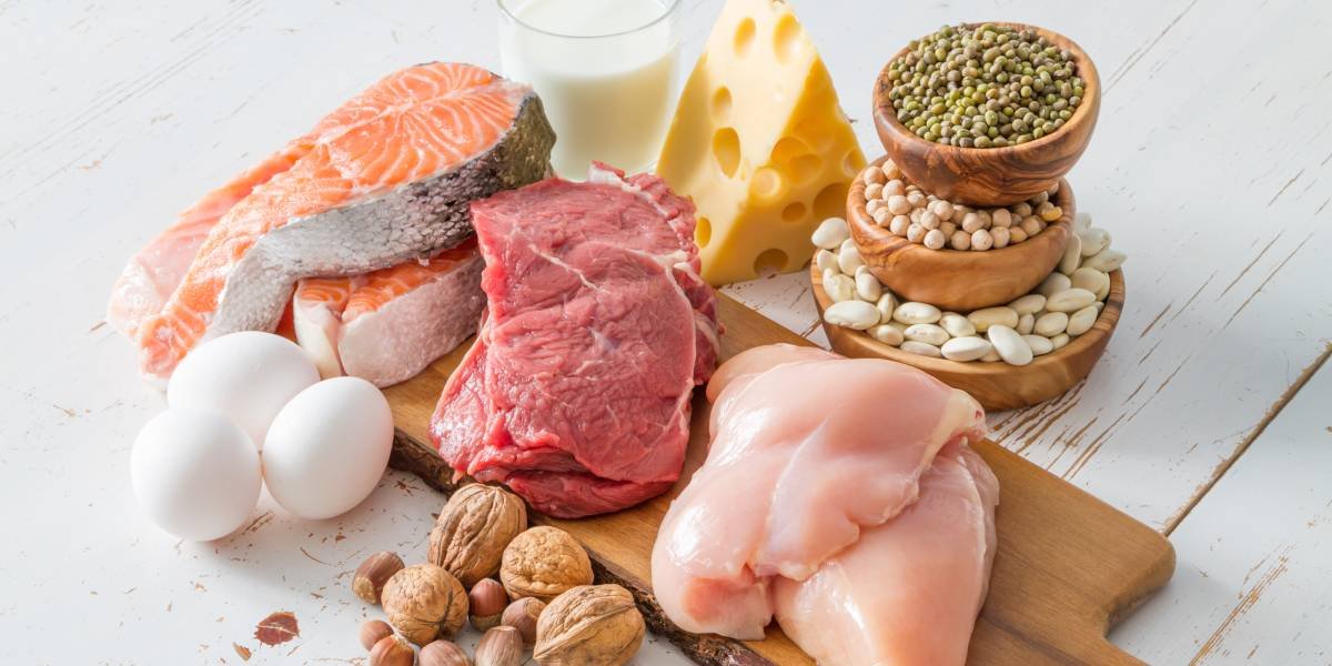sumber makanan yang mengandung protein