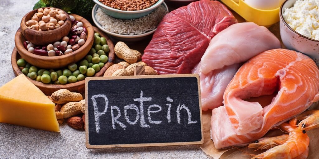 Manfaat diet protein