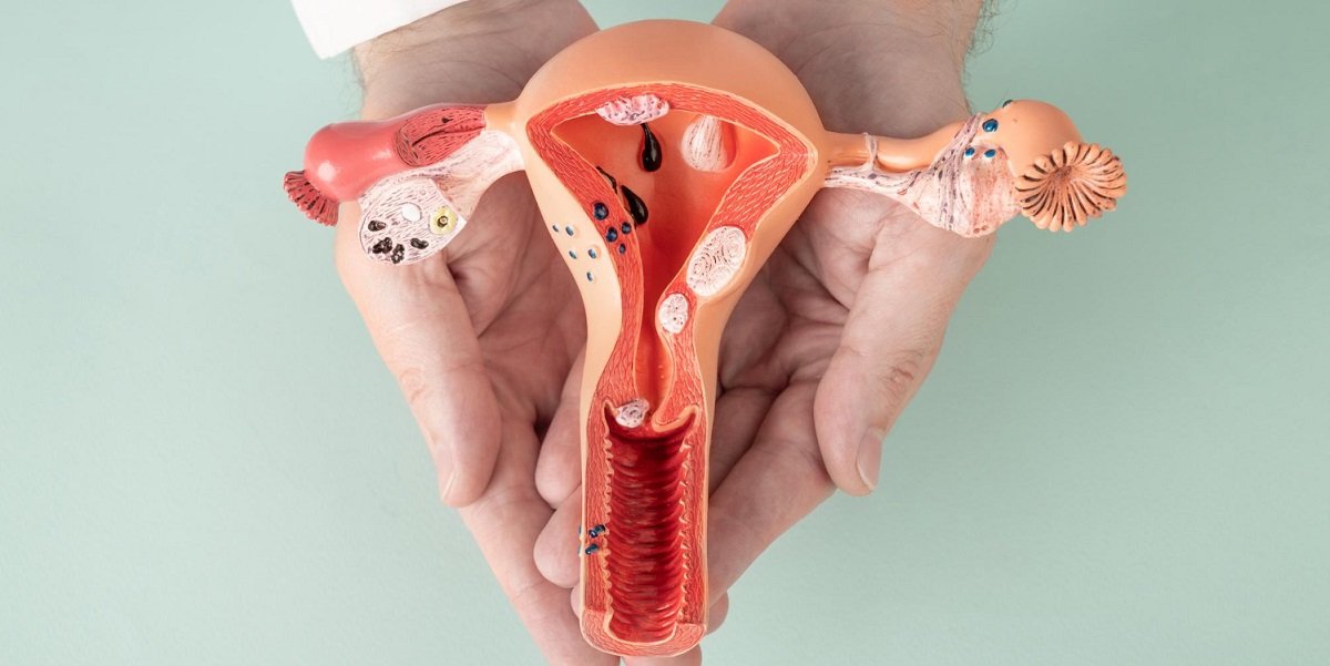 organ reproduksi wanita bukan hanya vagina dan rahim