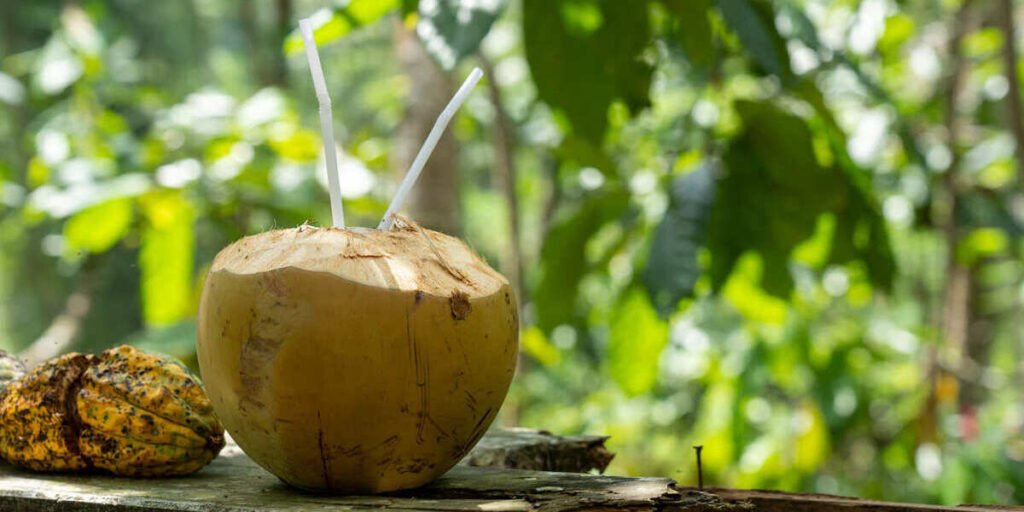 kelapa muda bakar
