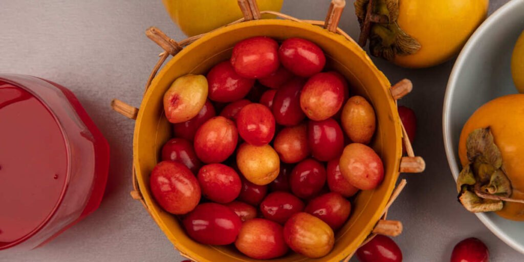 buah zuriat untuk promil
