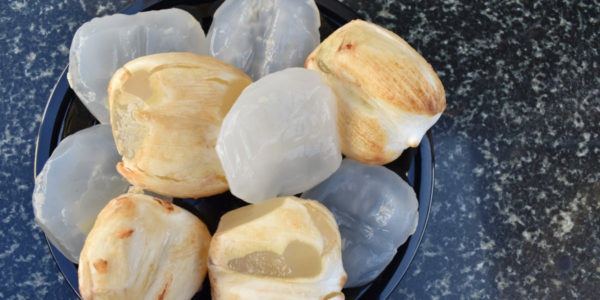 manfaat buah lontar untuk promil