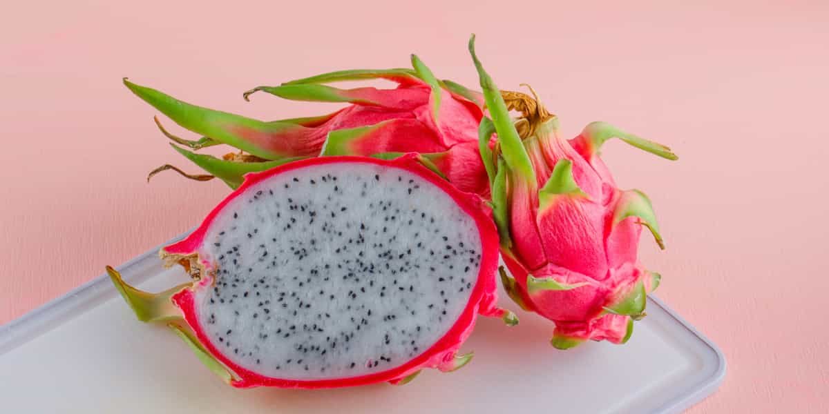 manfaat buah naga untuk promil