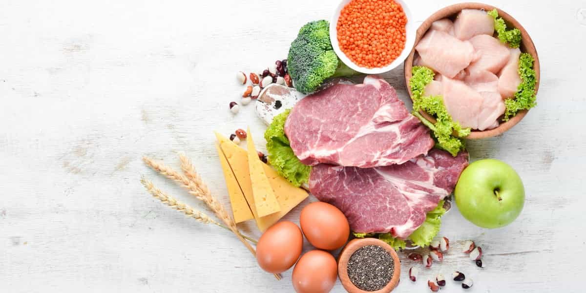 manfaat carnivore diet