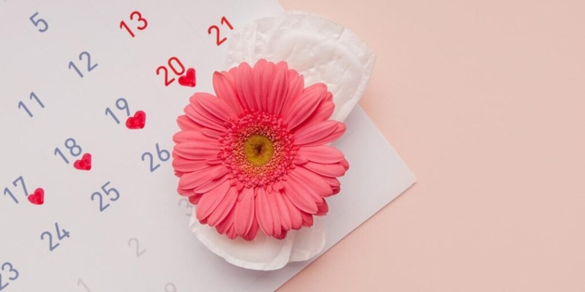 pantyliner adalah produk kewanitaan