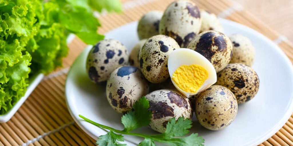 manfaat telur puyuh untuk promil