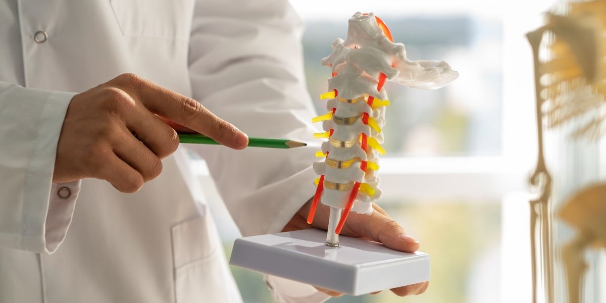 osteoporosis adalah kondisi berkurangnya kepadatan tulang