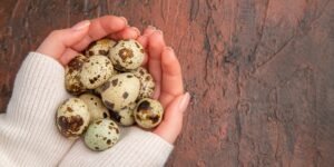 manfaat telur puyuh untuk ibu hamil