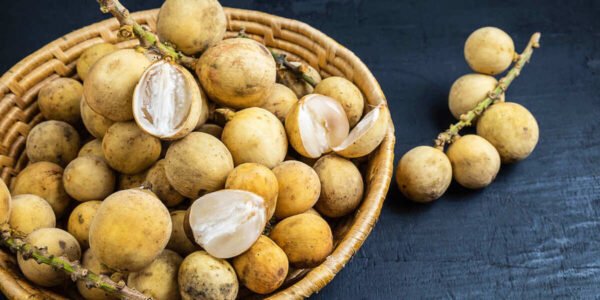 manfaat buah duku untuk ibu hamil